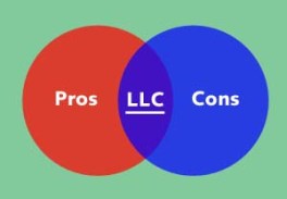 llc-pros-and-cons